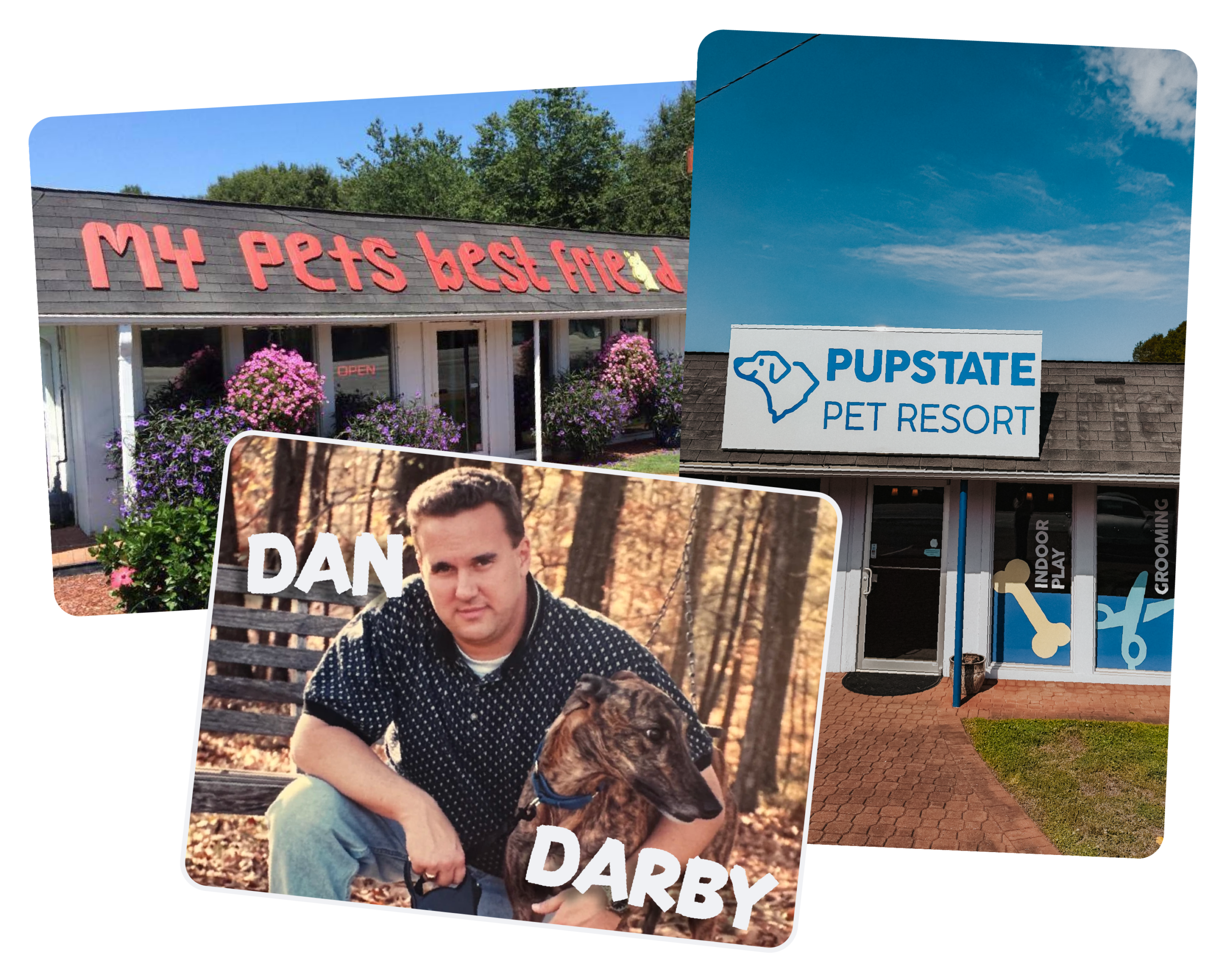 Dexter rescue dog at Pupstate Pet Resort Piedmont SC