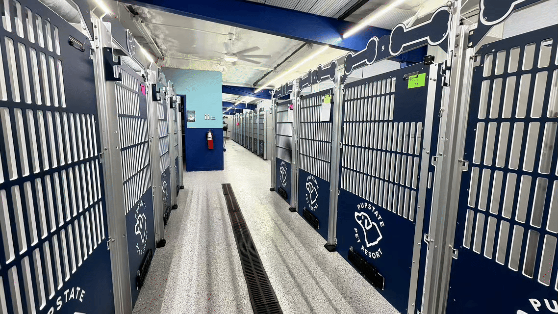 cat boarding Greenville SC